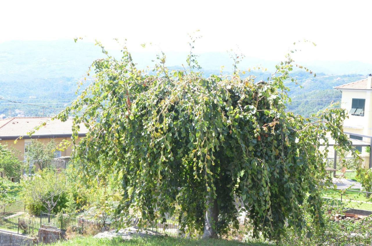 La Casa Con Vista Di Emma Appartement Vezzano Ligure Buitenkant foto